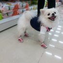 폴리파크진평점