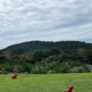 (주)타미우스골프앤빌리지 이미지