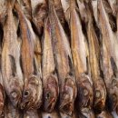 생선나라 이미지