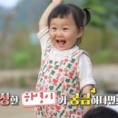 돼지토끼 이미지