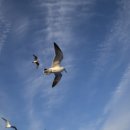 첨단연합내과의원 이미지