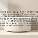 케이씨에스비전