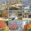 동대산 주차장 | 오대산 비로봉-상왕봉...강원특별자치도 홍천군 내면, 평창군 진부면