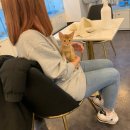 제이제이캣 이미지