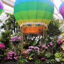 서울파피루스 이미지