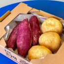 구황작물 이미지