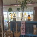 태광화원