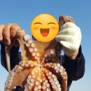 황금빛노을바다 낚시터 이미지