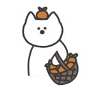 보내다제주