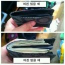 대전오토월드