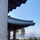 [상주] 객주촌 한옥펜션(한옥 숙소, 무인도의 디바 촬영지, 상도 촬영지, 낙동강 뷰, 경천 섬, 연말 여행)