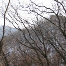 실레이야기길(봄내길 1코스) 이미지