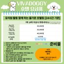 구미유치원 | [구미 산동 옥계 애견호텔/유치원]비바도기 호텔링 내돈내산 후기!