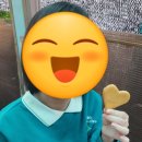 가을나드리투어 | 대구근교 가을 경주 여행, 경주 첨성대 핑크뮬리 여행...고분 경주황금정원나드리, 황리단길 간식투어)