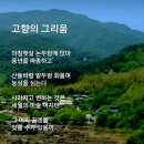 엘지김밥 이미지
