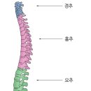 강남헬스 이미지