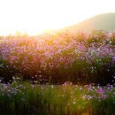 무정초등학교 앞 이미지