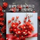 프랭클린 루즈벨트 대통령의 감동 실화 이미지