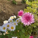 정촌한의원 이미지