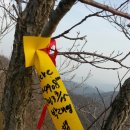호두산 네이버블로그