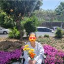 효드림요양병원 이미지