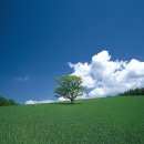 한코스메틱 이미지