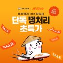 인천 다낭 항공권 땡처리 최저가 제주항공 고스트 프로모션 예약 후기