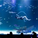 지하철 대구역 1번 출구 이미지