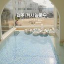 경주감성숙소 까사멜로우 B | 경주 키즈펜션 까사멜로우 6인 가족 숙소 독채 온수풀 여행 후기