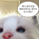 이제이포유 | [공지] 미친토익 반선택은? 지원하세영 1:1 수강 대면상담으로 오세영!🔥