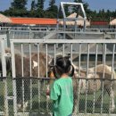 단비목장 이미지