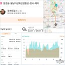 걸어서 서울여행_창경궁 산책(창경궁~세운상가~충무로)_9부