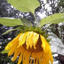 성서산업단지역 이미지