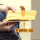 한양한방동물병원 이미지