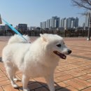 리츠펫 서산호수공원점 이미지