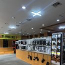 일성무주콘도미니엄 | 무주스키장 온천 스키장비렌탈 예약, 놀거리 정리