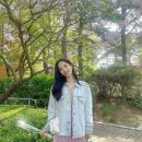 보나 이미지