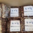산호동242 이미지