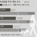 서당 이미지