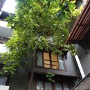 로얄세탁소 | [캄보디아 프놈펜#3] 세탁소에 옷 맡기고, 시엠립가는 버스 예약 완료