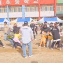 분당초등학교 이미지
