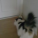 두리동물클리닉 이미지