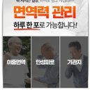 천연면역건강식품
