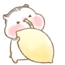 미우스파(Miu. Spa) 이미지
