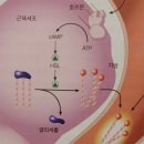 리바이브 PT 이미지