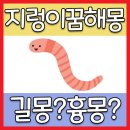 지렁이꿈해몽 22가지 길몽과 흉몽! 이미지