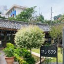 899 | [강릉카페추천] 교동899 – 고즈넉한 한옥 감성의 인절미빙수 맛집 (주차, 애견동반 가능)