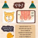 굿모닝동물병원 이미지