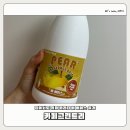 그린홈 | [카페 그린트리] 과일향 가득한 홈 카페 시럽 찾는다면? 카페 그린트리 배 베이스 사용 후기