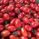 김순자농장 이미지